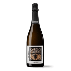 Cisteller Lucidity Corpinnat