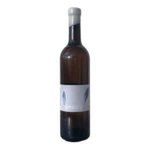 Kieninger Amara